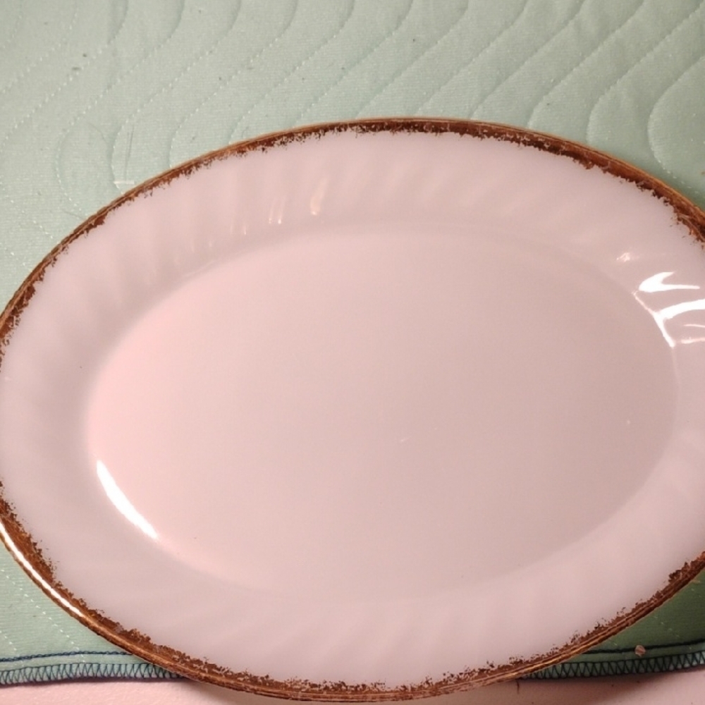 Elegant White and Brown Dinner Plate